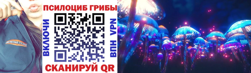 дарнет шоп  Лахденпохья  Галлюциногенные грибы мицелий 